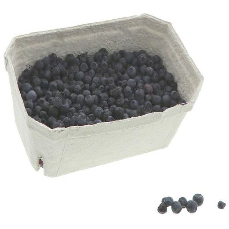 MYRTILLE SAUVAGE 1KG